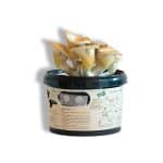 179-b Mozzarella kaas en kaasstopsel in ziplock zakje op houten oppervlak.