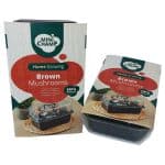 Mini Champ homegekweekte bruine paddenstoelen