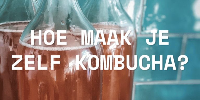 Hoe maak je zelf kombucha? - Yoghurt.nl