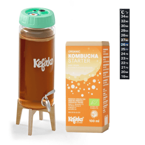 Kombucha starterset en flesje met fermentatieglas voor gezonde
