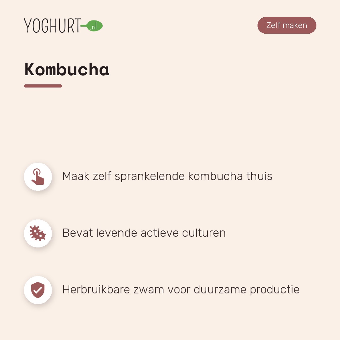 Kombucha – Kenmerken · tegel A