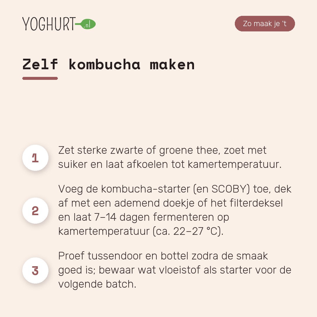 Kombucha – Zo maak je het · tegel B
