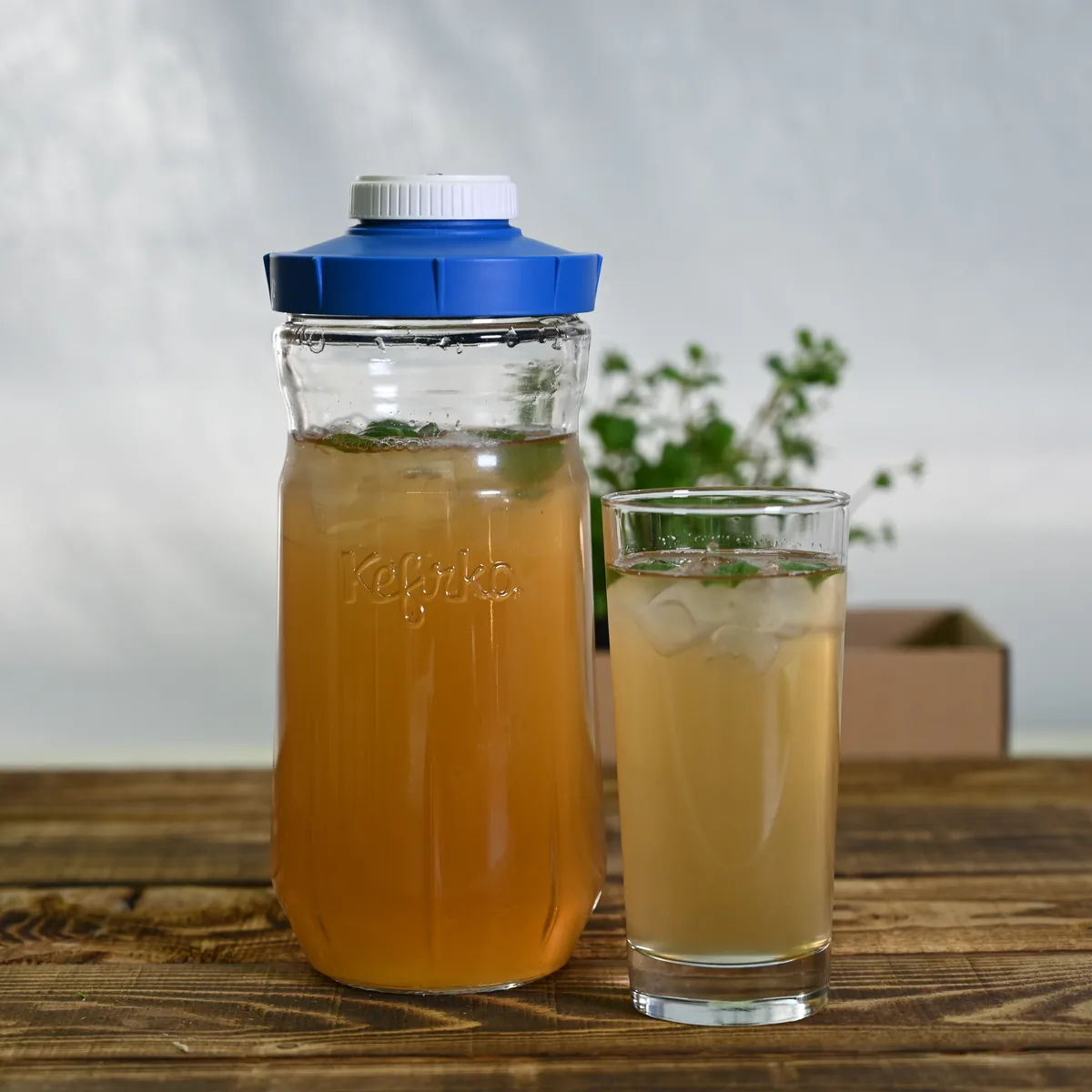 KefirKo Bewaarfles met gefermenteerde drank en glas